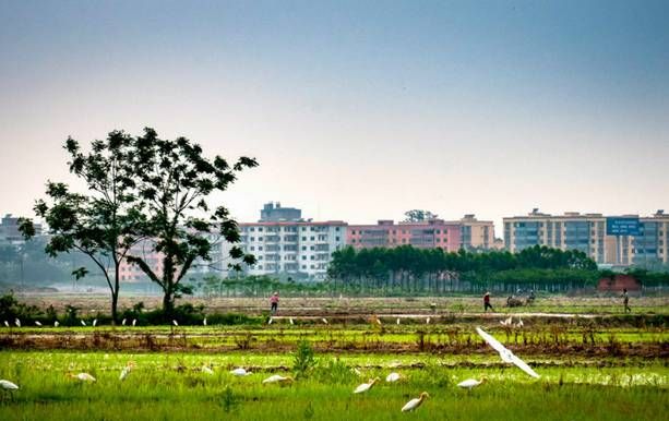 濾中濾設(shè)計(jì)飲水方案，黎塘鎮(zhèn)購(gòu)進(jìn)節(jié)能飲水機(jī)